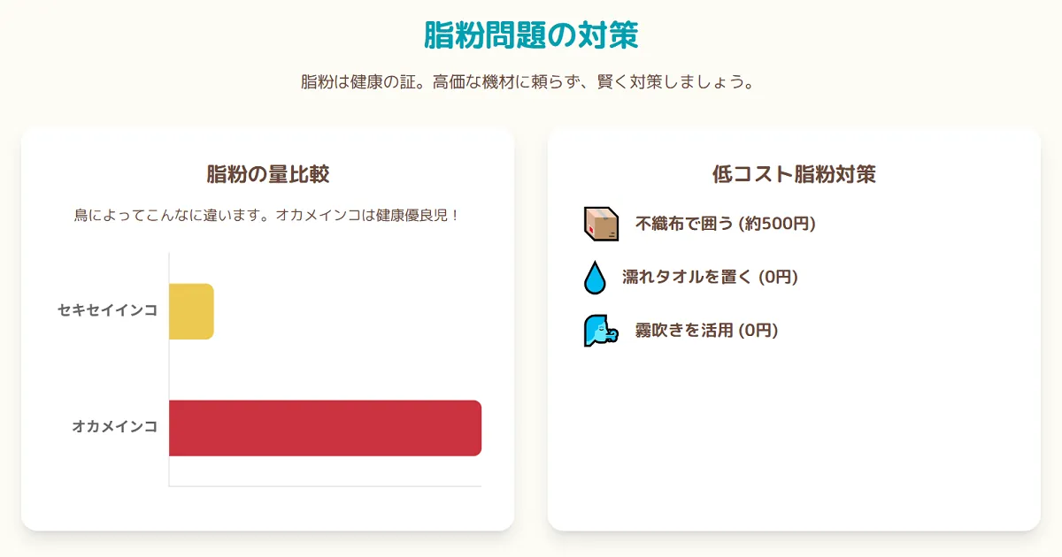 月1500円でできるオカメインコの脂粉対策インフォグラフィック。園芸用不織布や濡れタオルなど、低コストな方法を紹介。