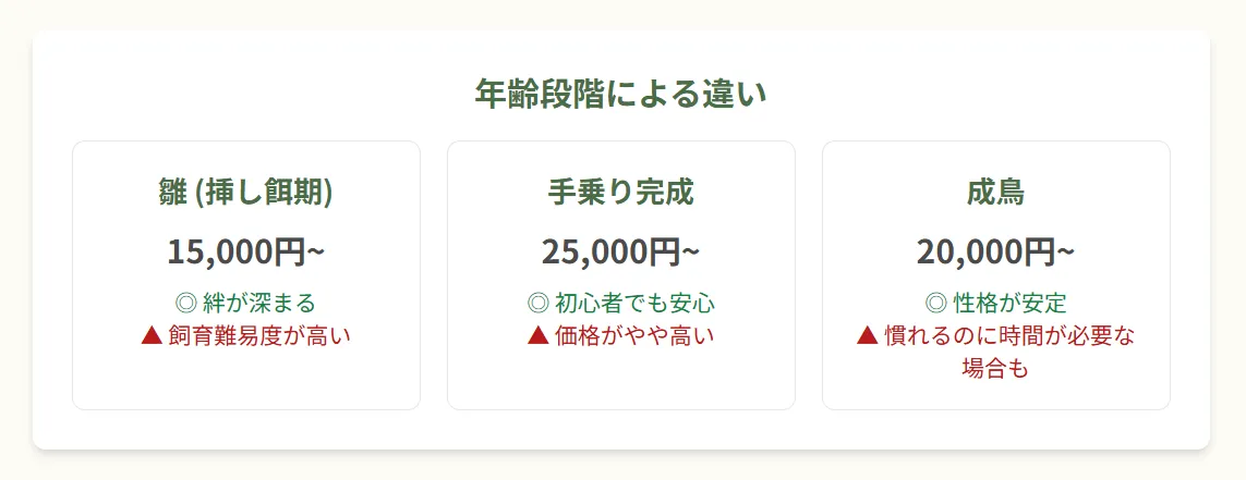 オカメインコの雛から成鳥までの成長段階と、それぞれの年齢における価格帯の違いを示したイラスト