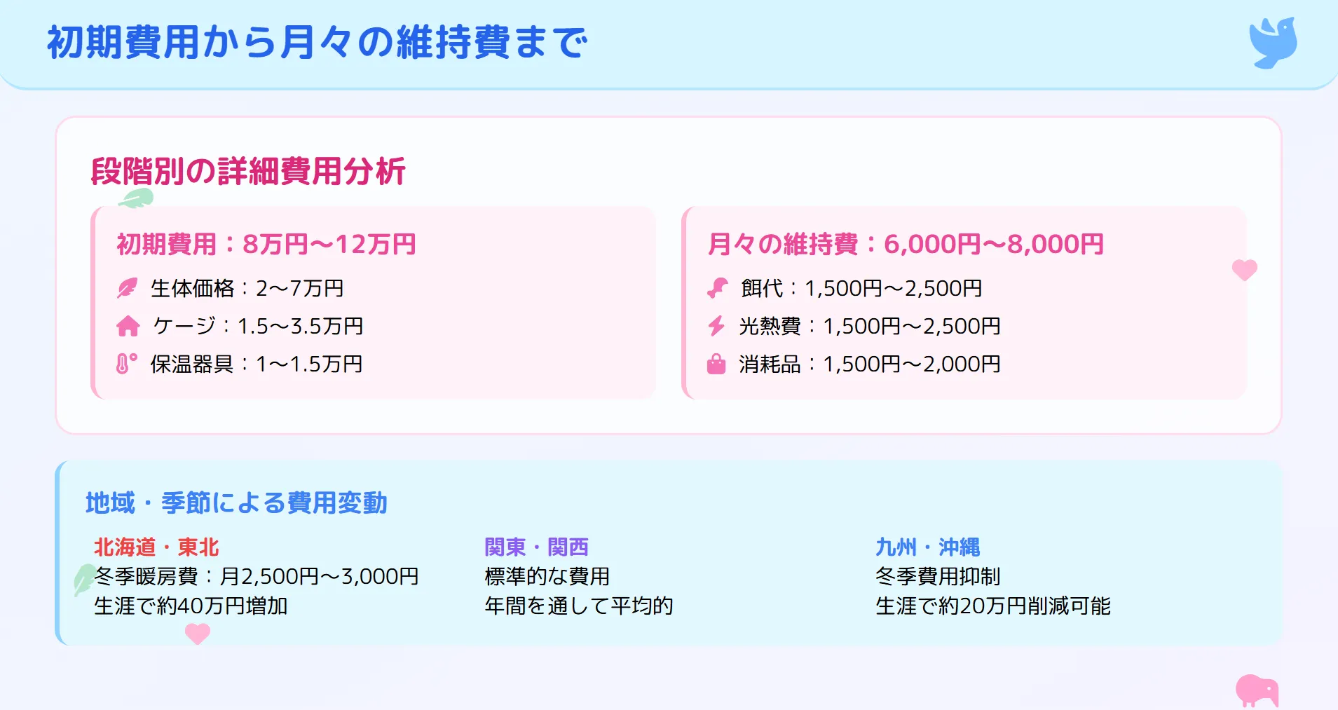 オカメインコの費用を段階別に分析したインフォグラフィック。初期費用8万円から、月々の維持費、そして医療費へと続く流れを図解。