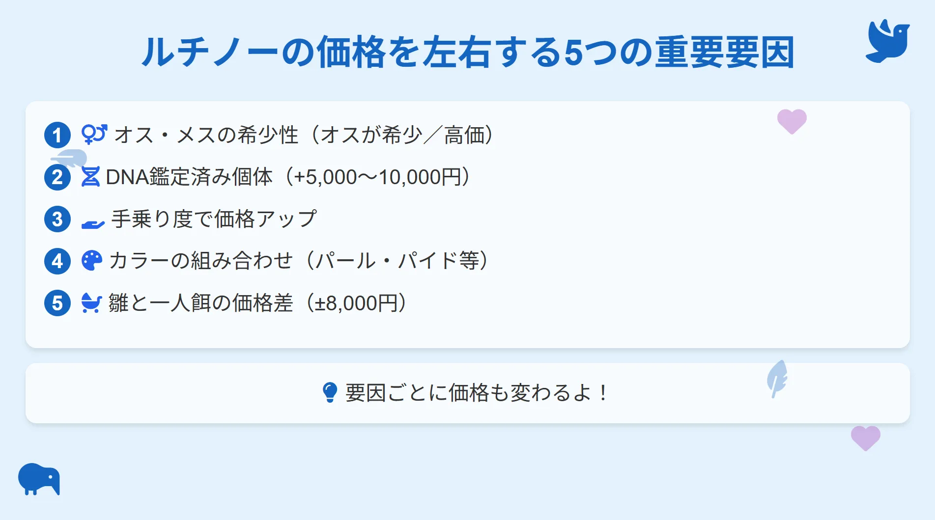 オカメインコルチノーの値段を決める5つの要因。性別、DNA鑑定、手乗り度、カラー、購入先が価格に影響することを示すインフォグラフィック。