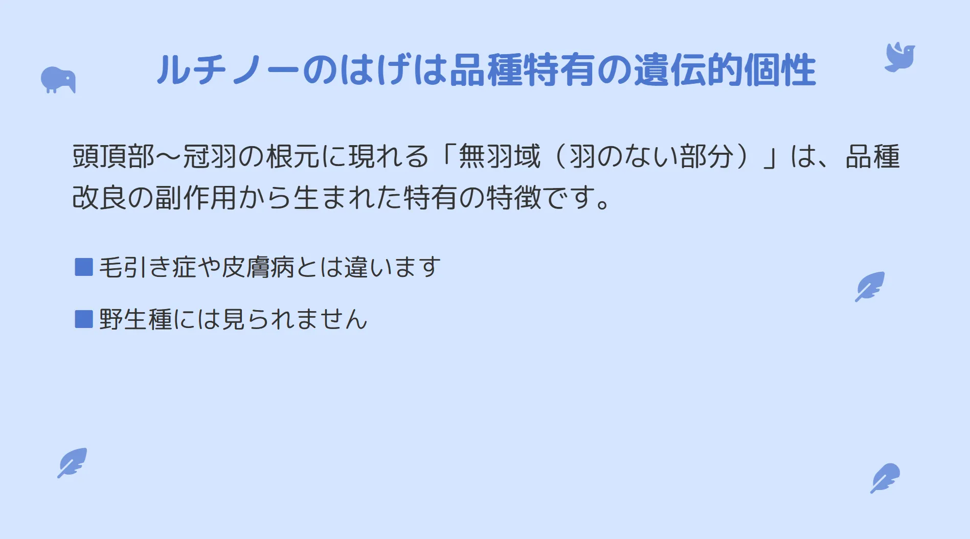 遺伝的はげと病的脱毛の違いを比較するインフォグラフィック。場所、皮膚の状態、進行性の有無で見分けるポイントを図解。