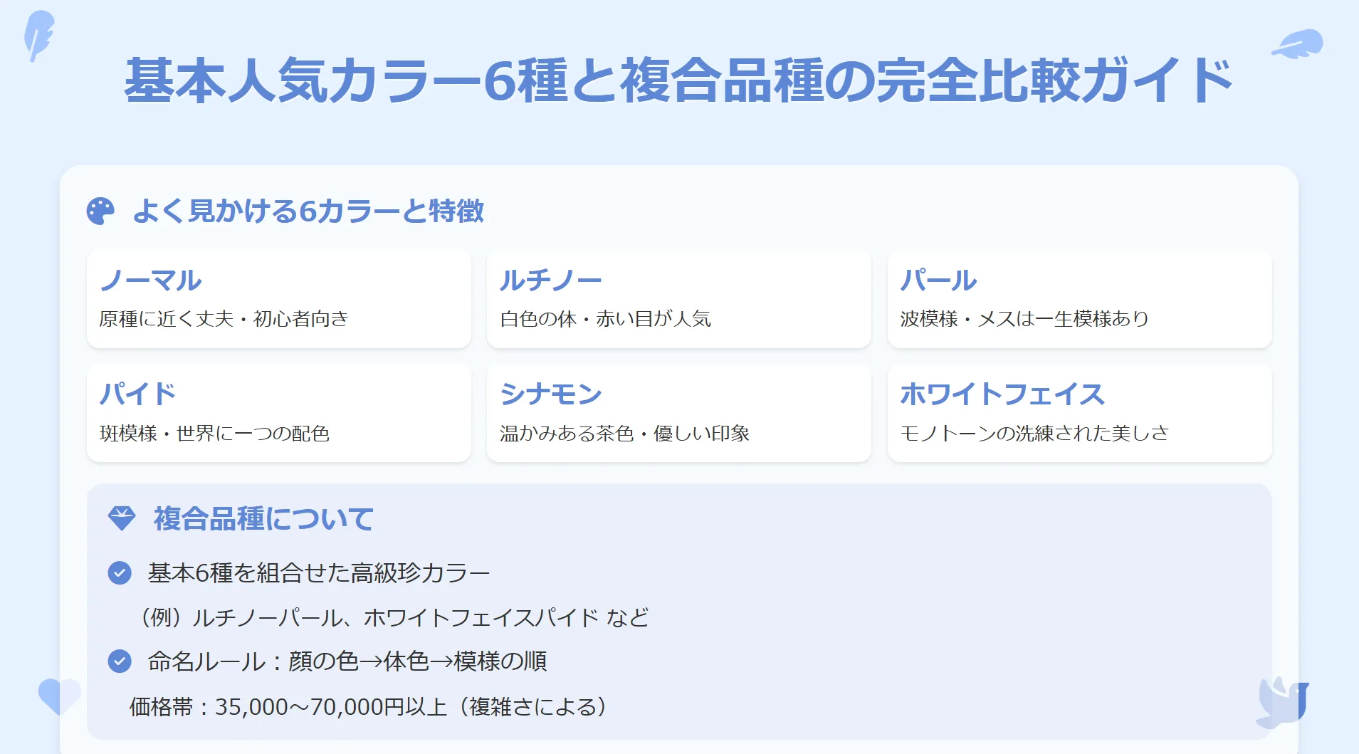 オカメインコの基本人気カラー6種類を比較するインフォグラフィック。ノーマル、ルチノー、パール、パイド、シナモン、ホワイトフェイスの特徴を紹介。
