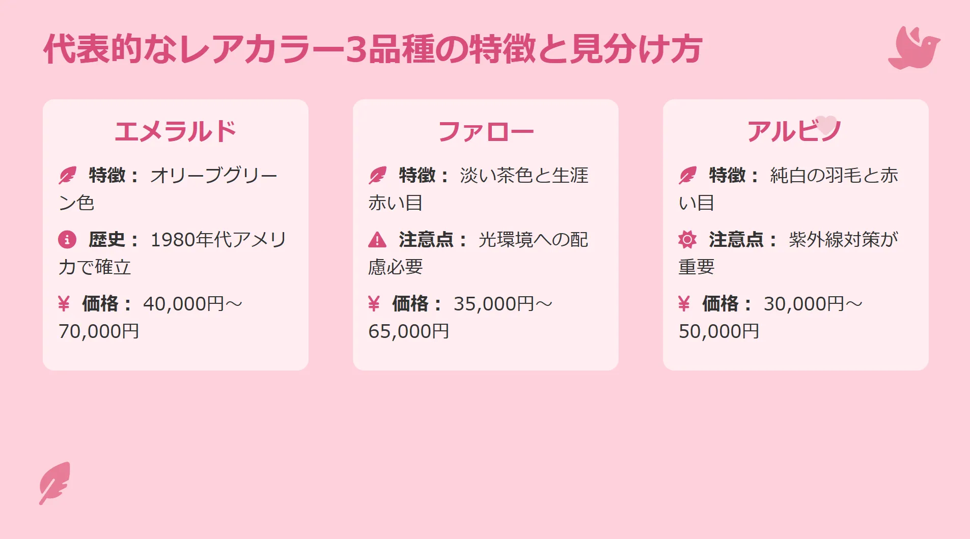 オカメインコの代表的なレアカラー3品種(エメラルド、ファロー、アルビノ)の特徴を比較するインフォグラフィック。