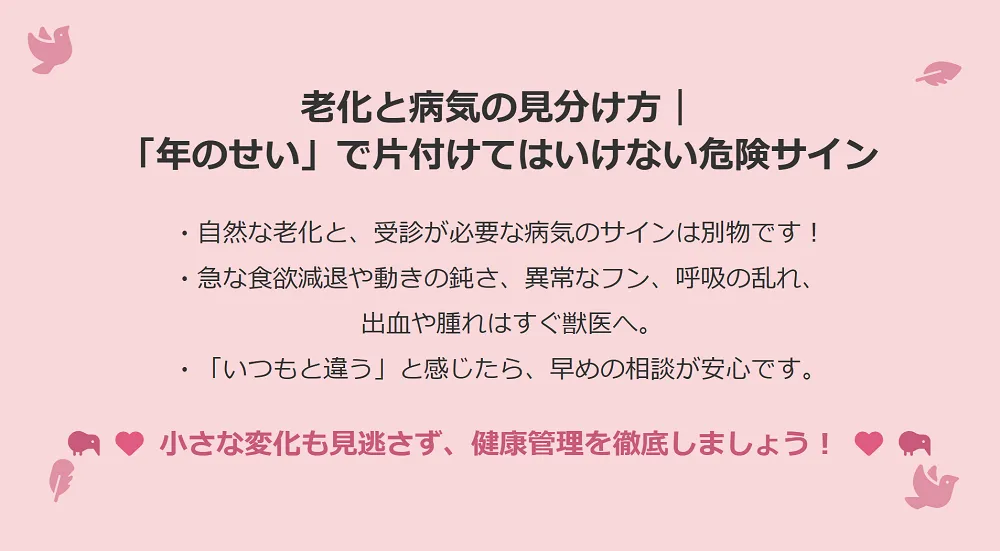 オカメインコの老化と病気のサインを見分けることの重要性を示すインフォグラフィック。「年のせい」と自己判断せず、専門家による診断が必要なケースを解説。