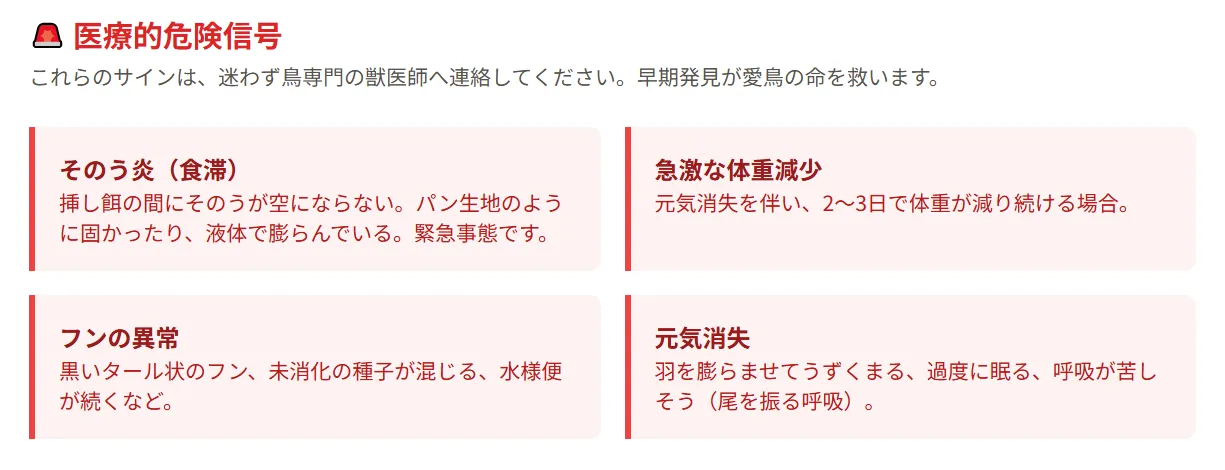 一人餌移行期の健康管理に重要な、デジタルスケールに乗って体重測定をするオカメインコの雛