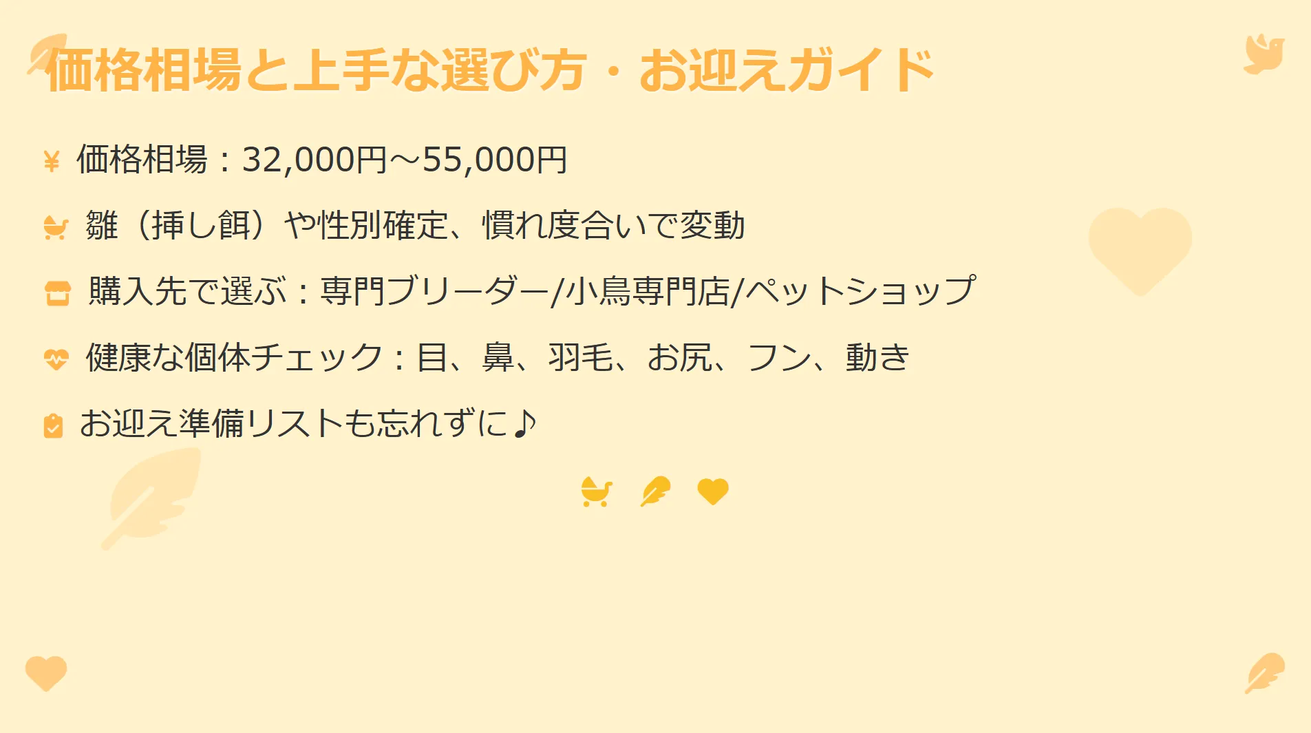 オカメインコルチノーパールの価格相場を示すイメージ。雛は32,000円から、一人餌の個体は40,000円からが目安。