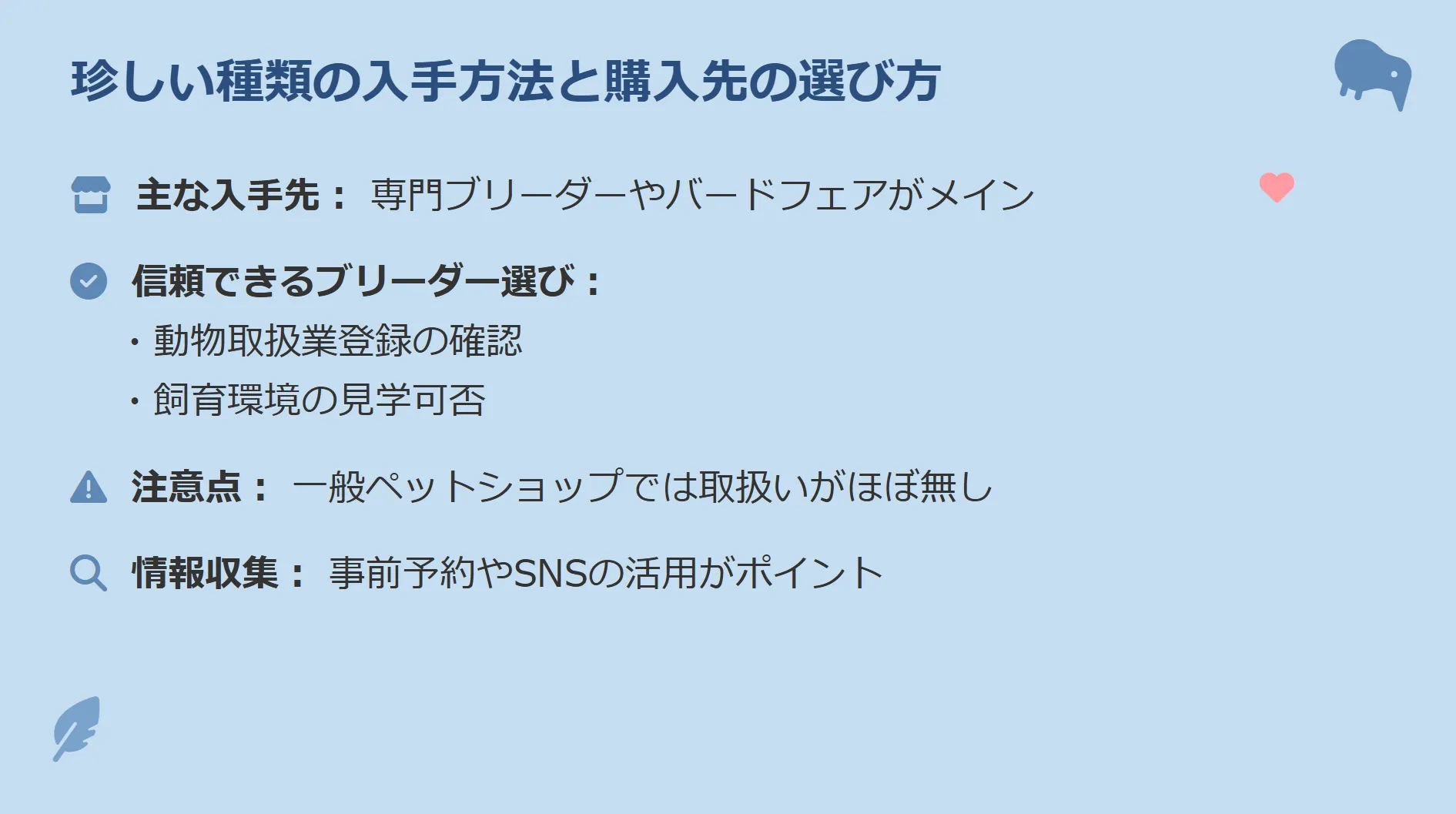 オカメインコのレアカラーの入手方法を示すインフォグラフィック。専門ブリーダーやバードフェアでの購入が基本。