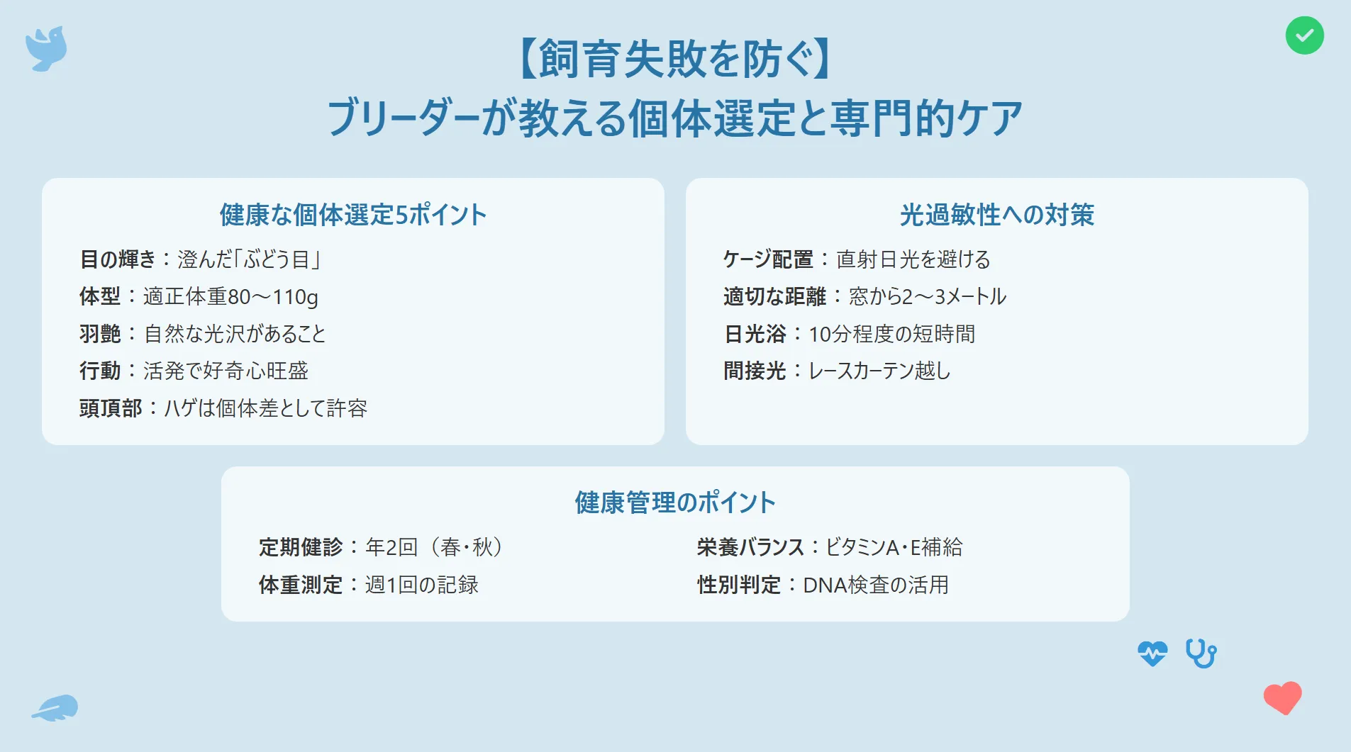 ブリーダーがオカメインコの雛を優しく手に乗せている様子。専門的なケアと正しい個体選定が飼育失敗を防ぐ鍵。