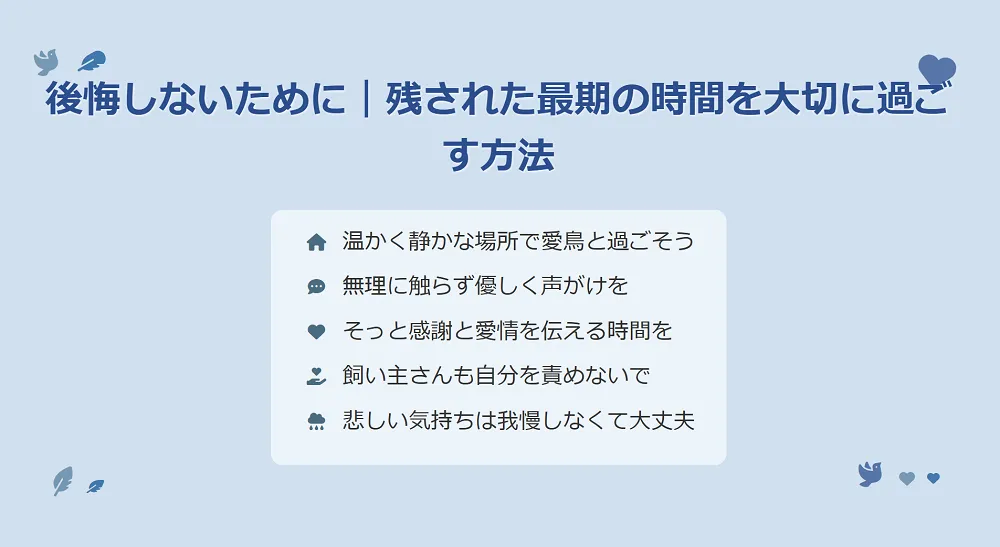 オカメインコとの最期の時間を後悔なく過ごす方法を示すインフォグラフィック。保温されたケージのそばで優しく声をかけ、愛情を伝えている様子。