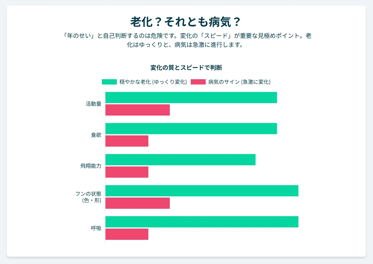 緊急受診が必要なオカメインコの危険な老化現象を示すインフォグラフィック。急な食欲不振や呼吸の異常は、すぐに鳥専門の獣医師への相談が必要。
