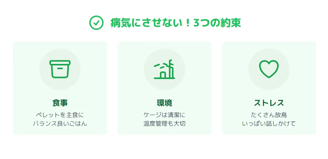 病気の予防策を実践し、健康寿命を延ばすオカメインコのイメージ。食事、環境、ストレス管理の3つの約束で愛鳥を病気から守る。