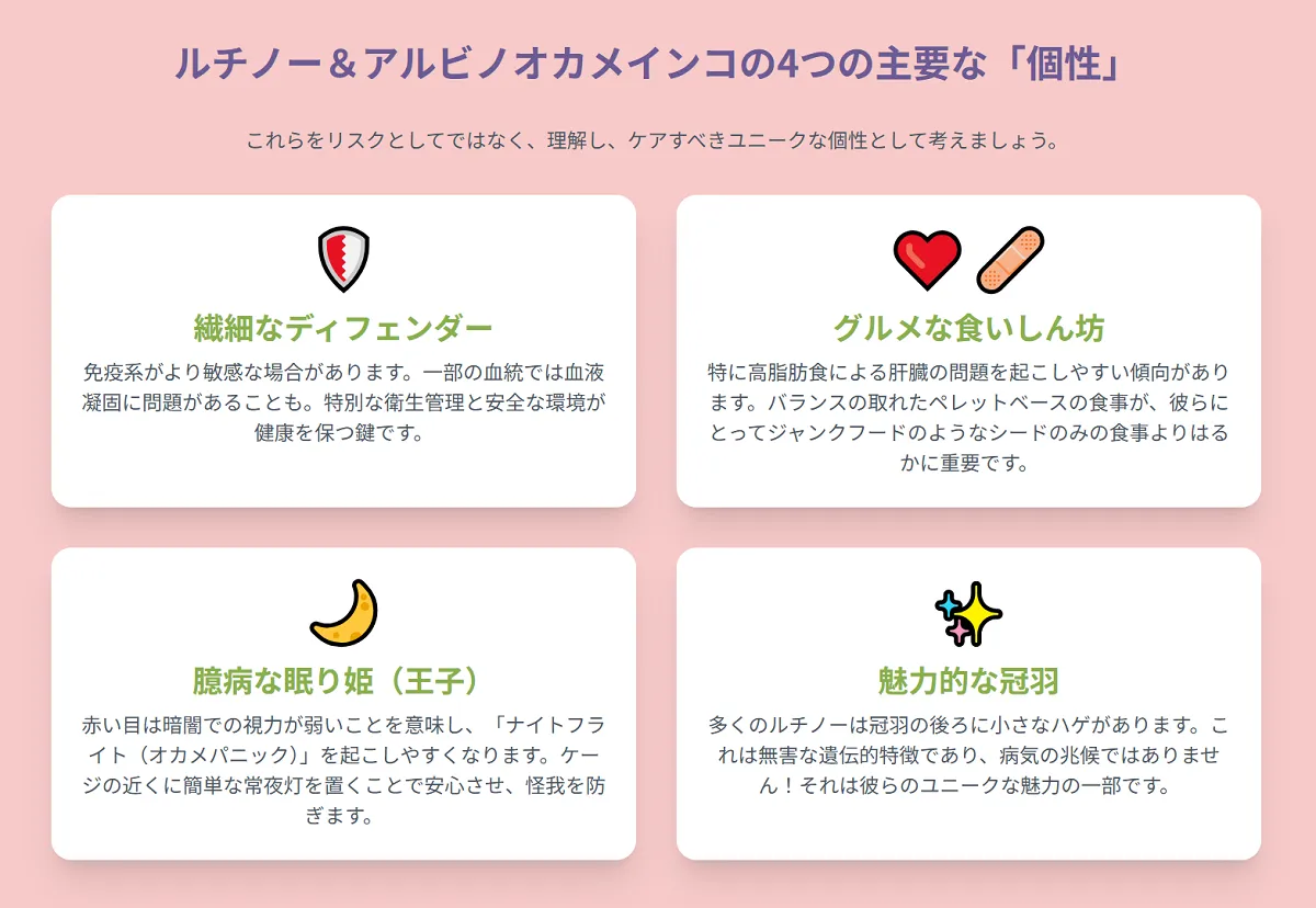 飼い主から優しいケアを受けるルチノーオカメインコ。個性への理解が寿命を延ばす鍵となる。