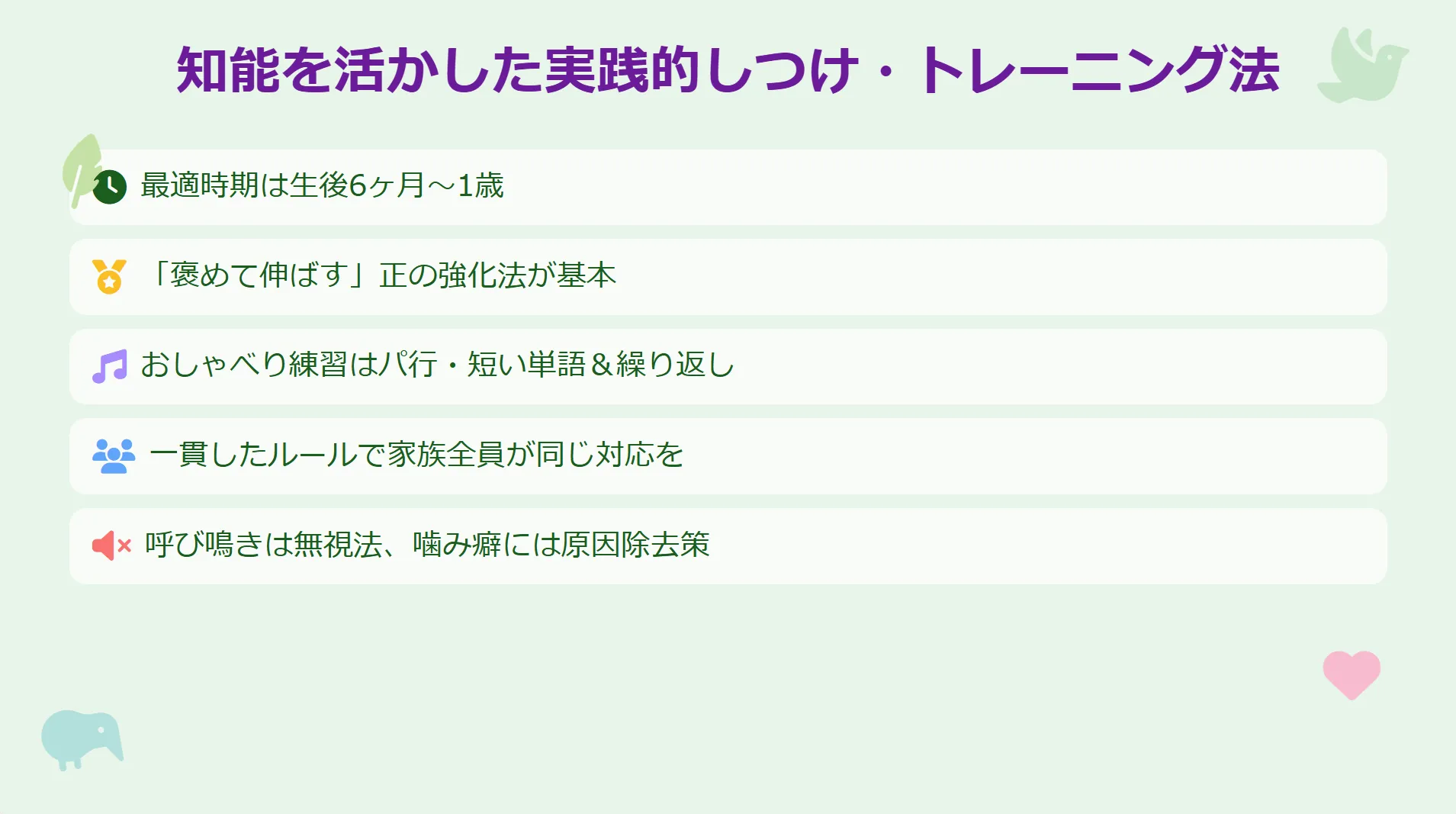 クリッカートレーニングで飼い主と楽しく芸を学ぶオカメインコ。知能を活かしたしつけ方法を示す。