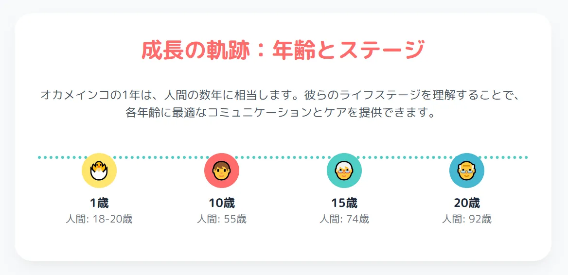 オカメインコの年齢を見分けるポイントを示す、若鳥から老鳥まで異なる年齢のオカメインコの比較写真