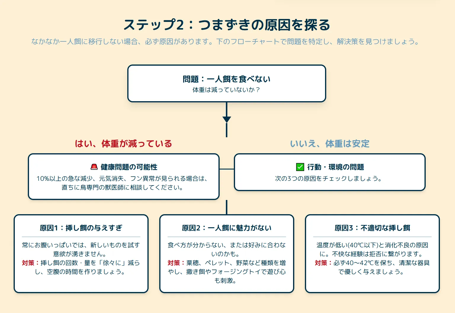 挿し餌をねだるオカメインコの雛と困った表情の飼い主