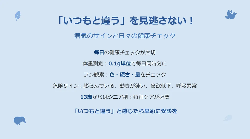 飼い主による日々の健康チェックを受けるオカメインコ。毎日の体重測定とフンの観察が病気の早期発見につながる。