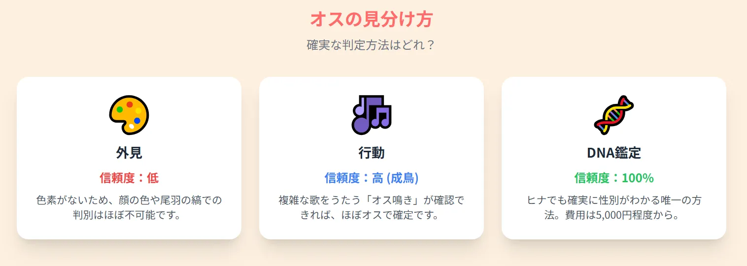 ルチノーのオスとメスの外見比較。メラニン色素欠乏により尾羽の縞模様などでの判別が困難であることを示す。