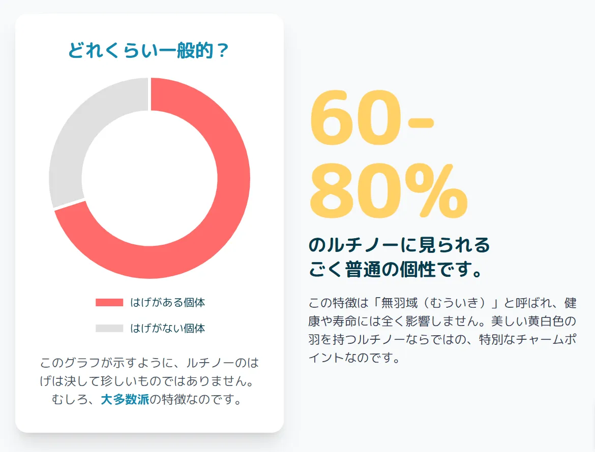 ルチノーのはげの程度を比較するイラスト。はげ無し(20-40%)から、軽度、中度、重度まで4パターンを図解。