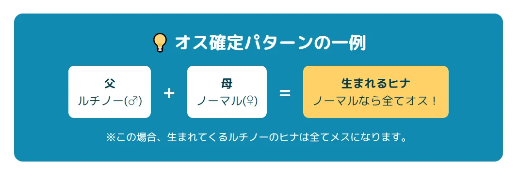 遺伝法則による確実な性別判定パターン