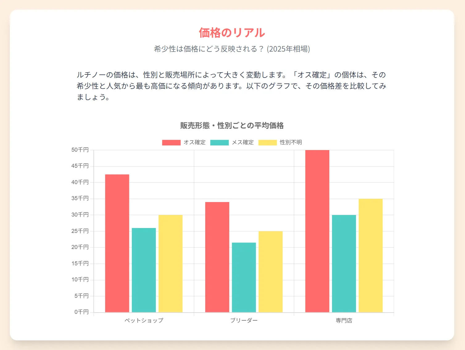 2025年版オカメインコルチノーの価格相場インフォグラフィック。オス確定個体はブリーダー直販で2.8万円から、専門店では6万円になることも。