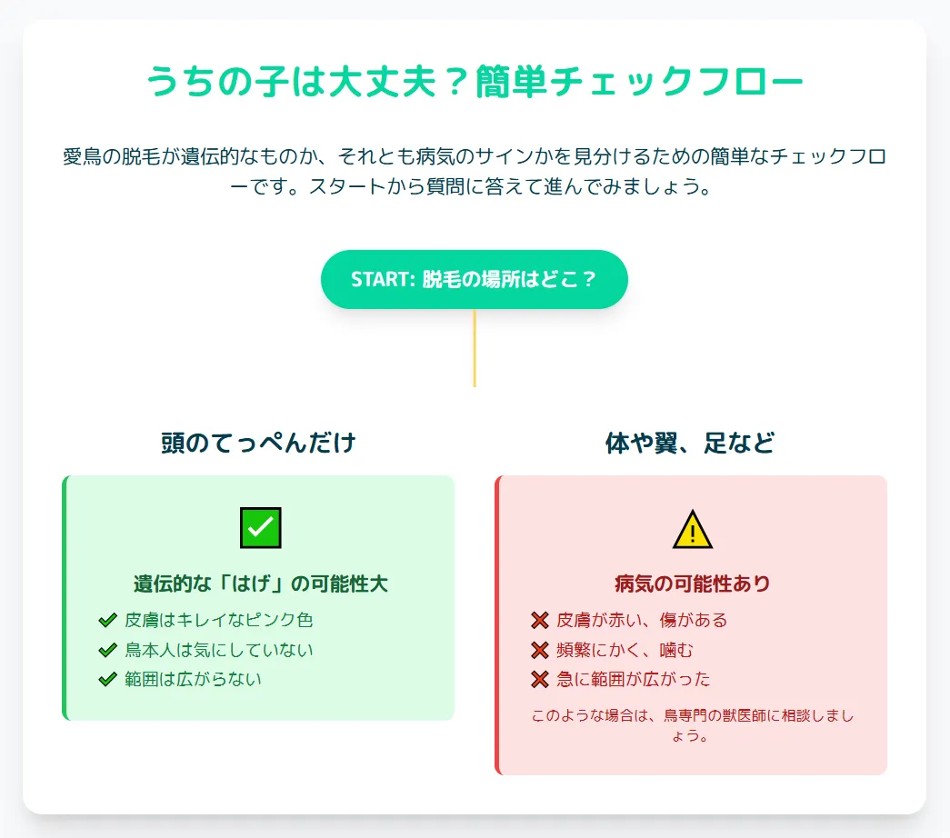 オカメインコの頭頂部を指し示すイラスト。はげが冠羽の真下に限定されるため、毛引き症の可能性が低いことを解説。