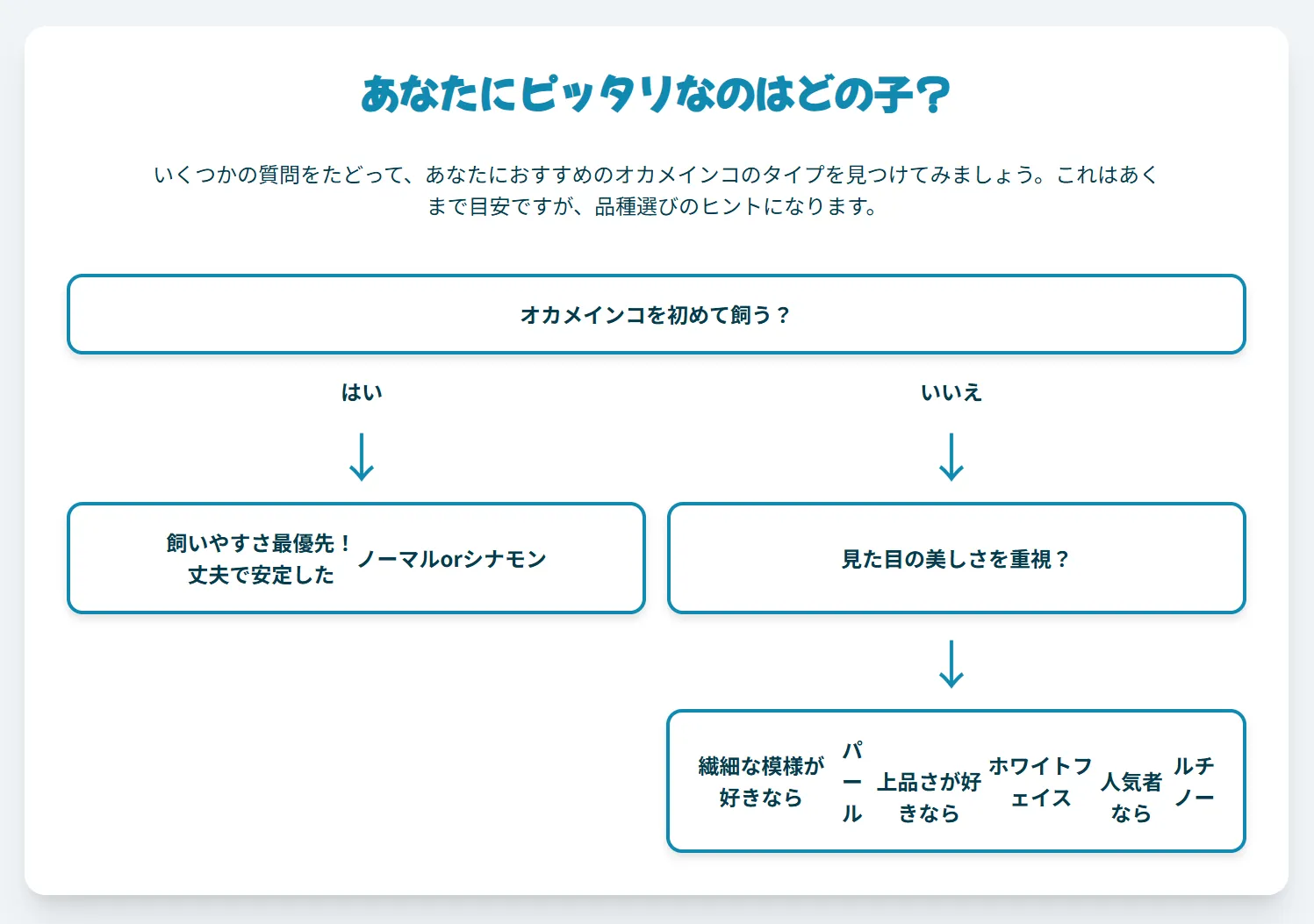おしゃべりや見た目など目的別にオカメインコの種類を選ぶインフォグラフィック。おしゃべりならオス、美しい模様ならパールのメスが最適。