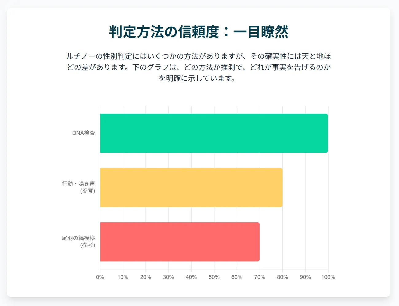 窓辺で外を眺めるオカメインコルチノー。性別を理解した上での責任ある飼育が、豊かな鳥との生活に繋がる。