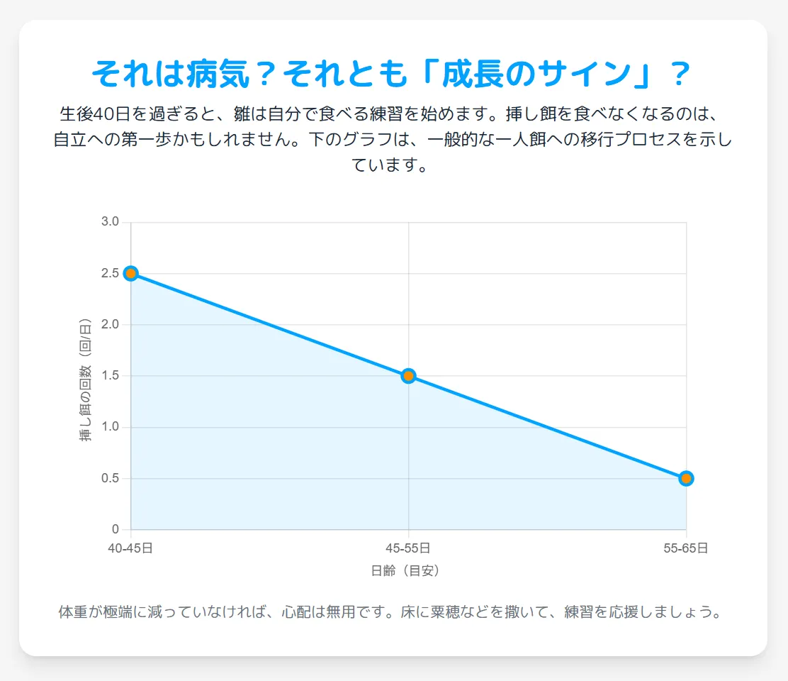 床に撒かれた粟穂を興味深そうにつつき始めるオカメインコの雛
