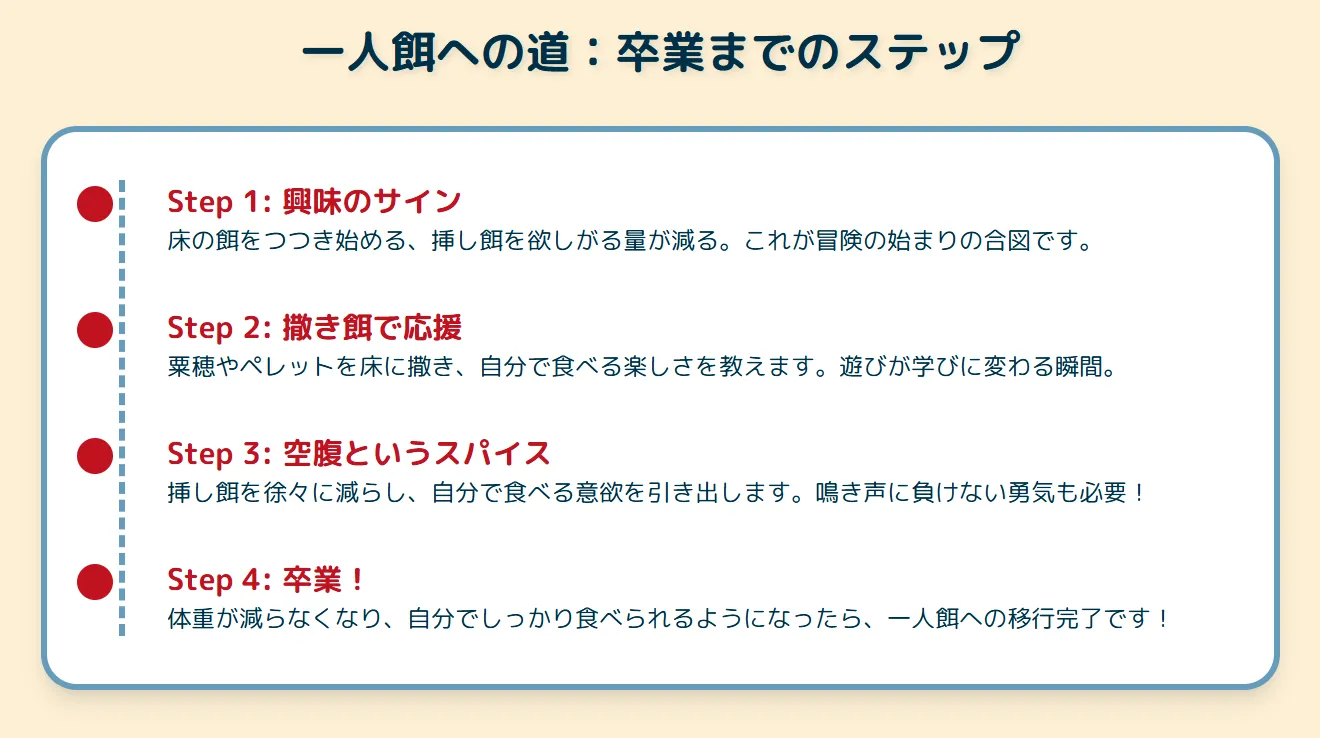 一人餌移行の段階を示すインフォグラフィック（撒き餌から皿餌へ）