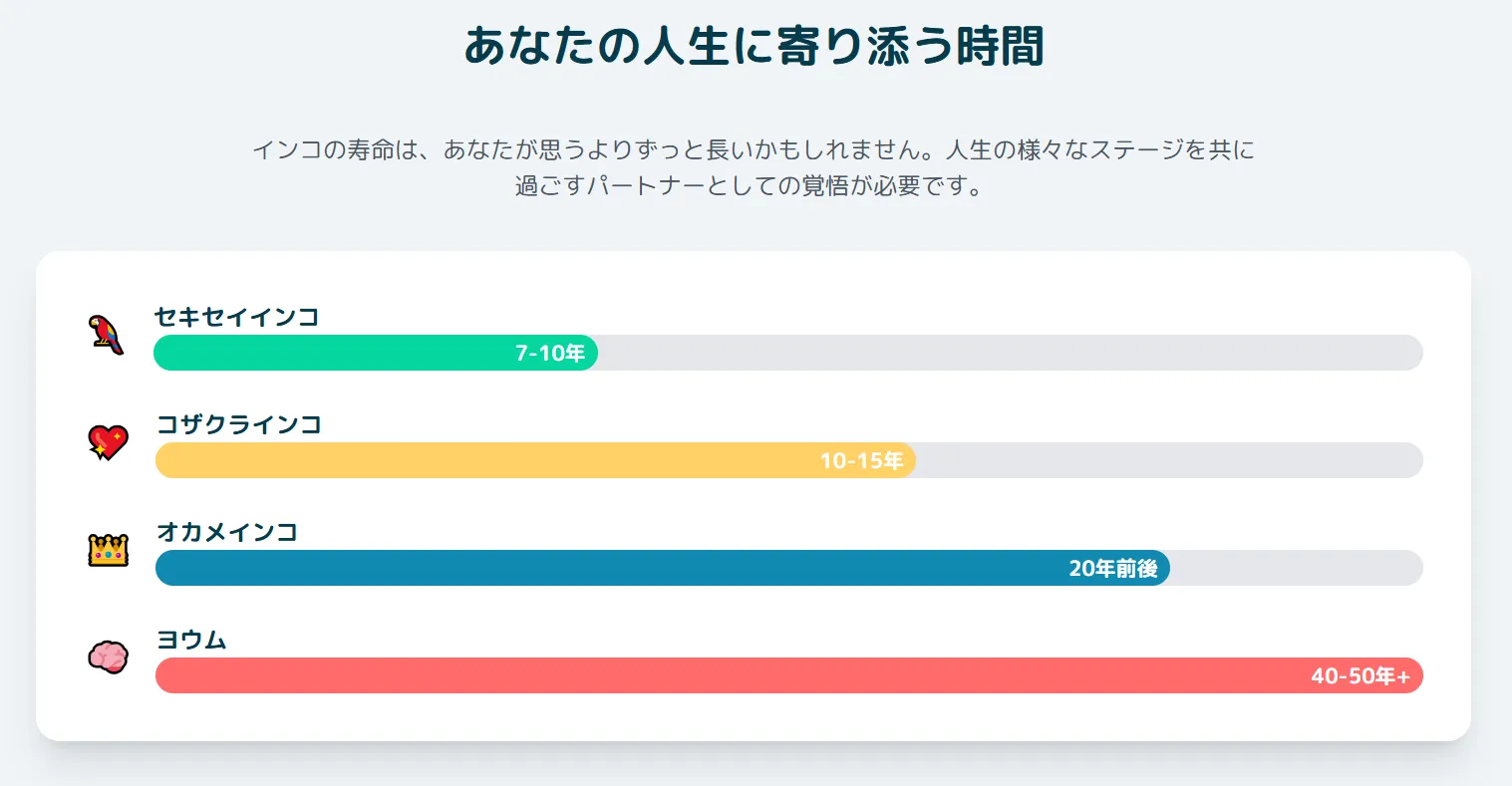 インコの長い寿命（10年～50年）と飼い主の生涯にわたる責任を示すカレンダーのイメージ。