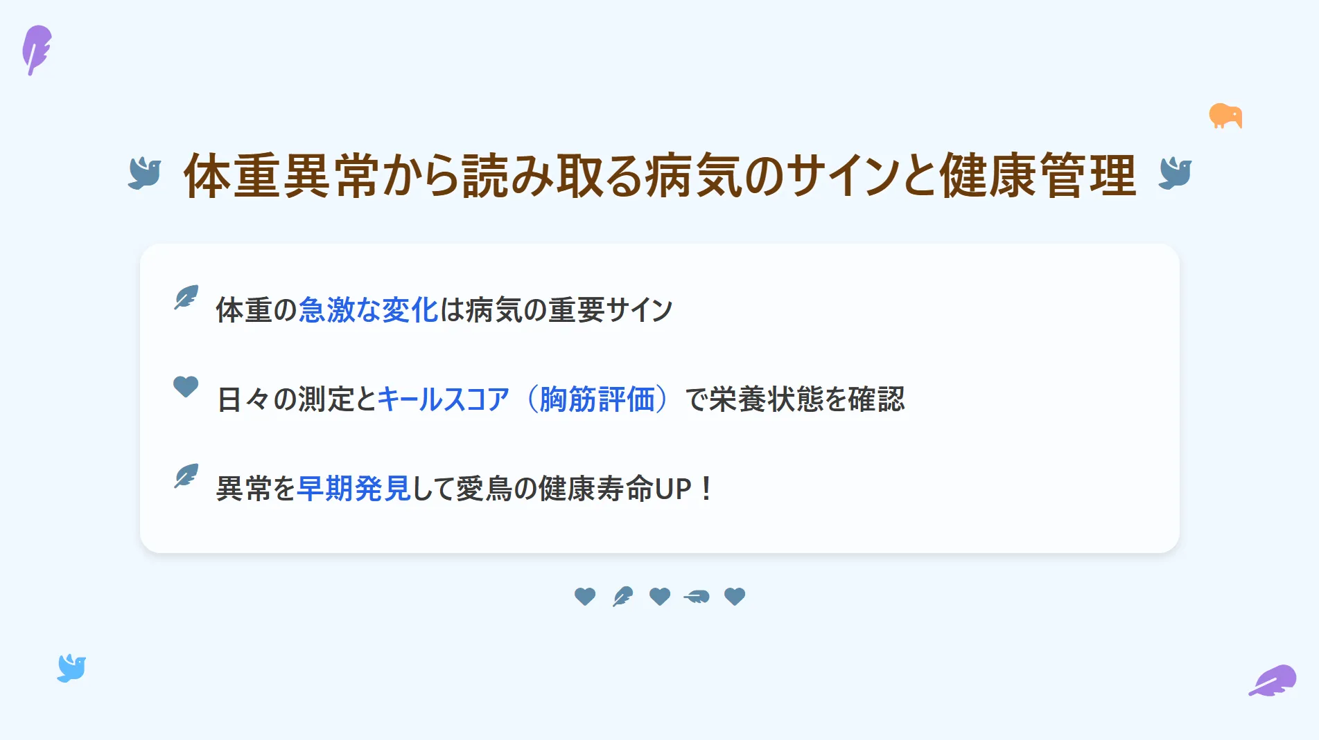 獣医師に聴診器をあてられるオカメインコ。定期的な健康診断の重要性を示す。