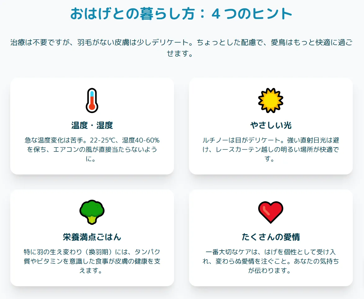 オカメインコの理想的な飼育環境を示すインフォグラフィック。温度22-25度、湿度40-60%が目安であることを図解。