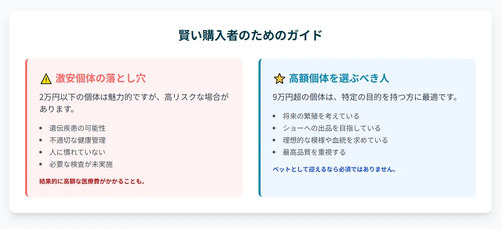 2万円以下の激安オカメインコホワイトフェイスが危険な理由を示すインフォグラフィック。近親交配や健康問題などのリスクを警告。