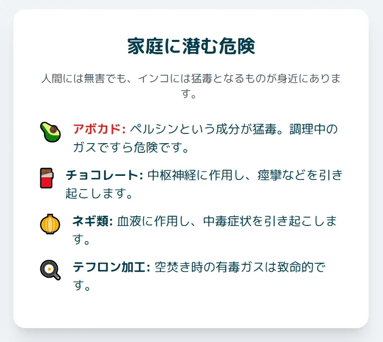 インコにとって危険なアボカドやチョコレートなどの中毒物質と、扇風機などの事故リスクを示すインフォグラフィック。