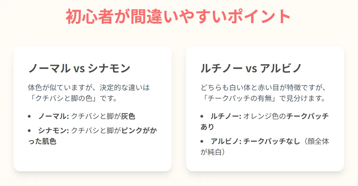 ノーマルとシナモンの違いを比較するインフォグラフィック。体色がグレーか茶色か、クチバシと脚が灰色かピンク系かで見分けるポイントを解説。