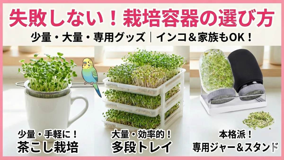 インコ用発芽シード栽培容器の種類を比較した画像。茶こし・タッパー・多段トレイなど少量から大量栽培まで対応する容器を展示。