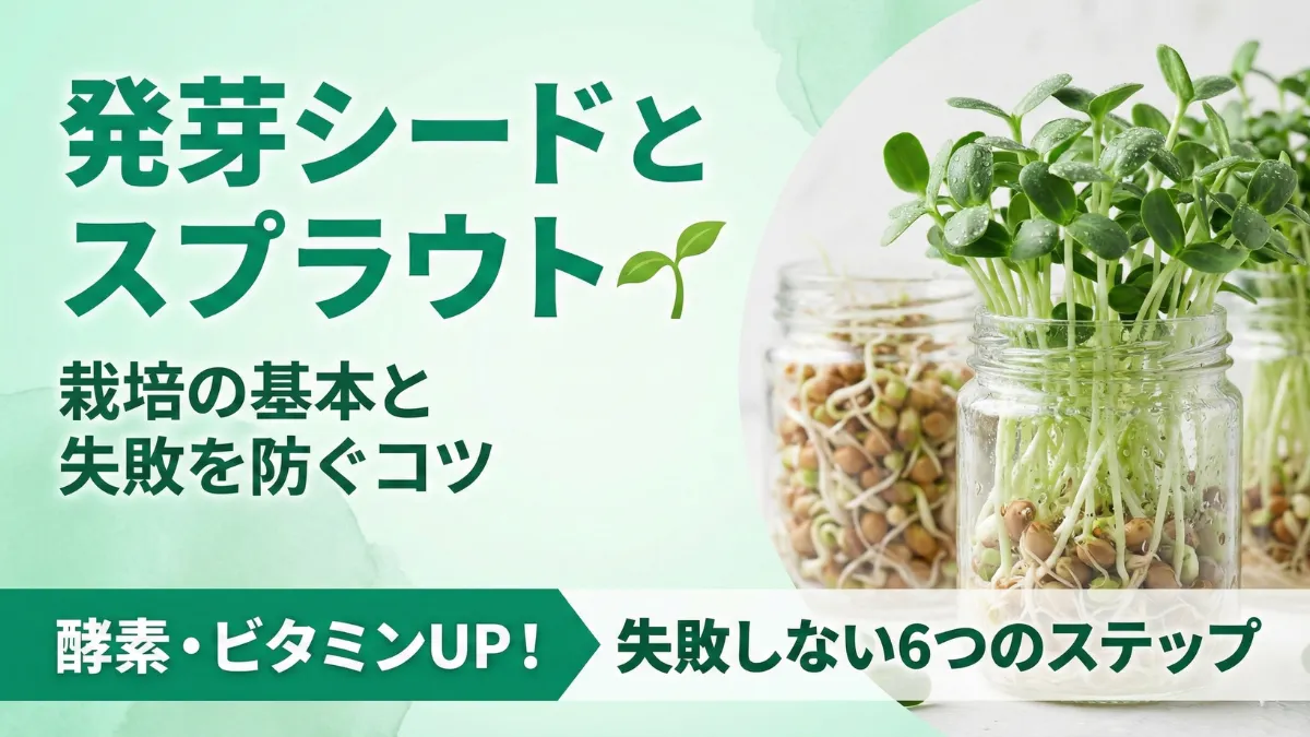 発芽シードとスプラウト栽培の基本ステップを示す画像。浸水から収穫まで6段階の流れを図解し清潔な管理方法を表示。