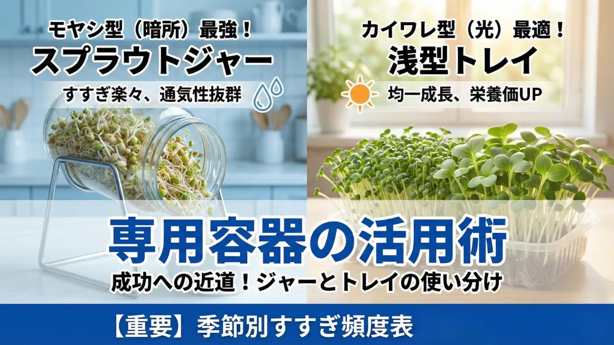スプラウト専用ジャーと浅型トレイを並べて比較した画像。モヤシ型とカイワレ型で最適な容器の形状が異なることを視覚的に説明。