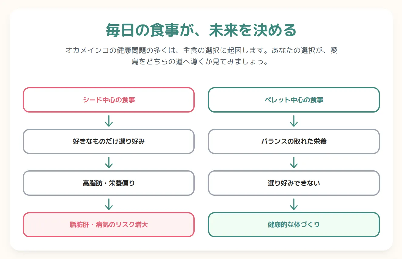 ペレットを主食に、副菜として野菜やシードがバランス良く並べられたオカメインコの理想的な食事メニュー。