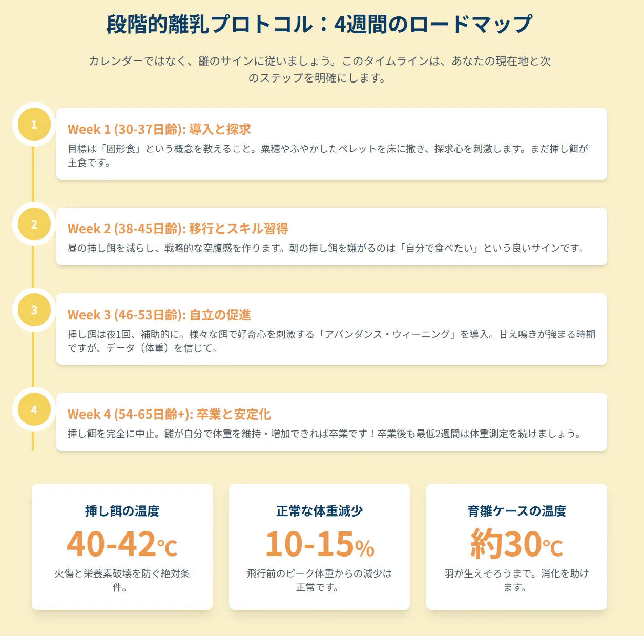 オカメインコの挿し餌を卒業させるための段階的なスケジュールを示したインフォグラフィック