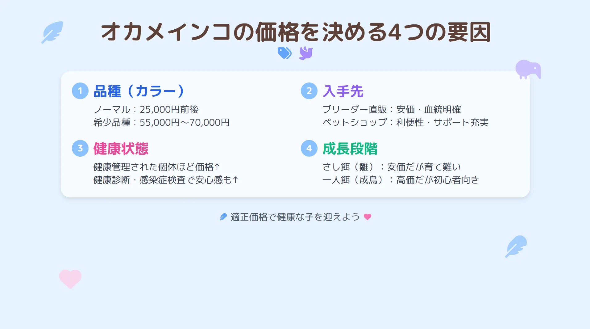 オカメインコの値段を決める4つの要因（品種、入手先、健康状態、成長段階）を示したインフォグラフィック
