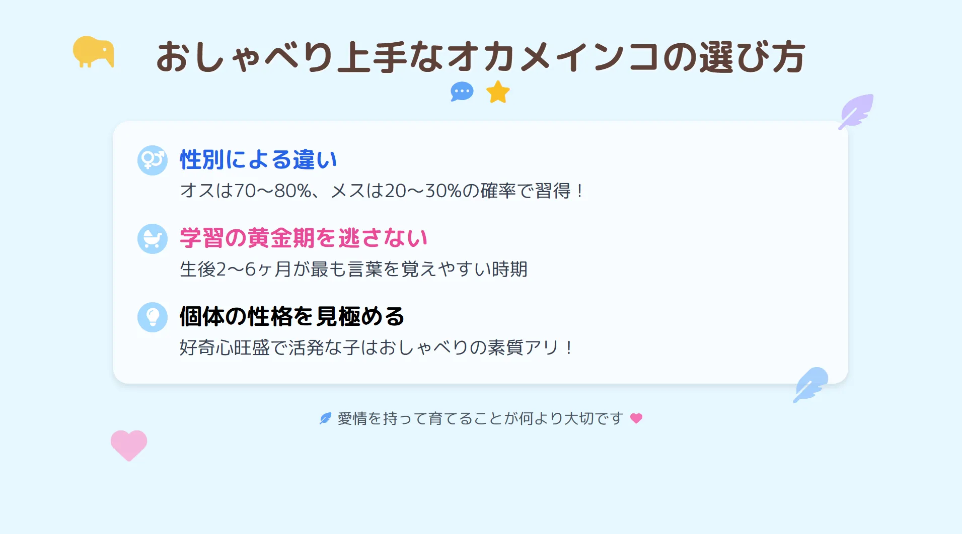 おしゃべり上手なオカメインコを選ぶための3つのポイントを示したイラスト