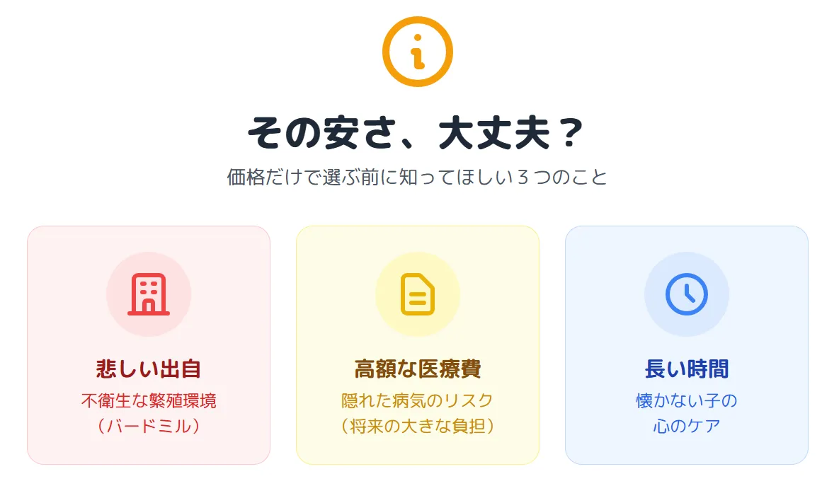 値段が安いオカメインコにはバードミルや病気のリスクがあることを示すインフォグラフィック。