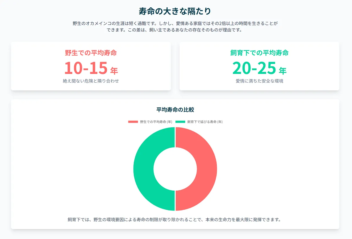 飼い主の肩で安心しきった表情を見せる飼育下のオカメインコ。飼い主による適切なケアが、野生の2倍以上となる30年の長寿を実現する。