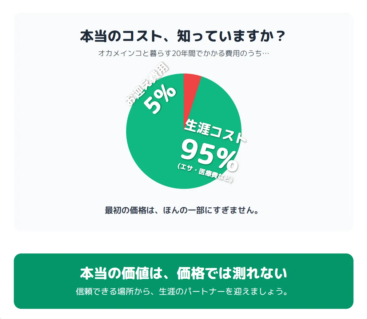 オカメインコとの20年以上にわたる幸せな暮らしをイメージしたイラスト。本当の価値は値段ではないことを示唆。