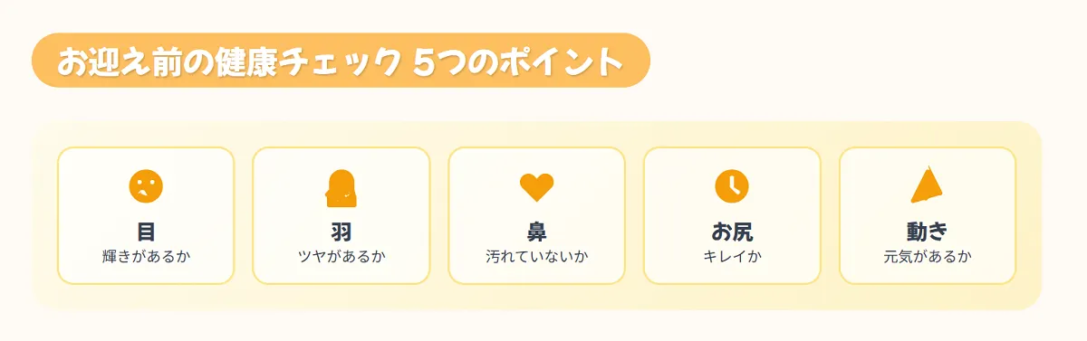 オカメインコの健康チェック5項目（目、羽、鼻、おしり、動き）をアイコンで解説したインフォグラフィック。