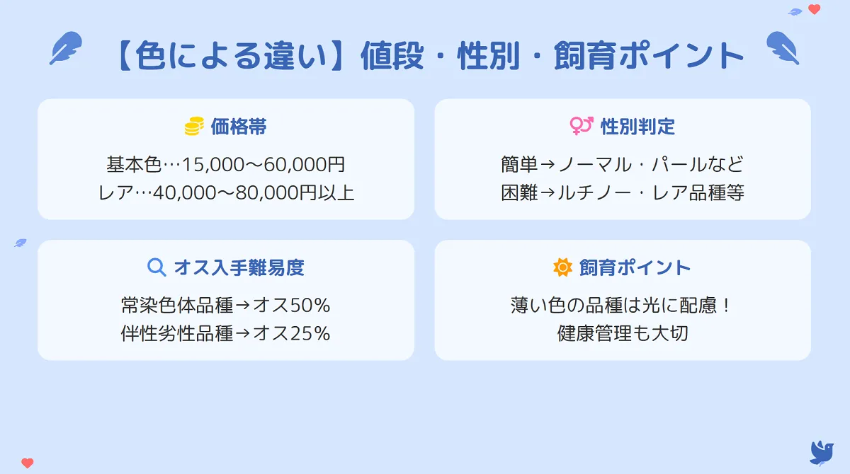 健康なオカメインコのヒナを優しく手で包んでおり、後悔しない選び方が重要であることを示す画像。