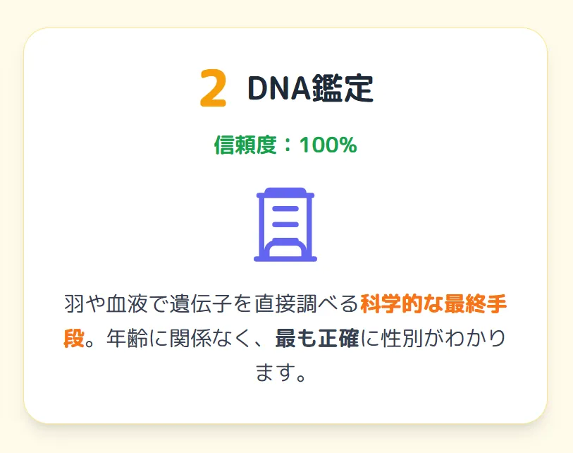羽毛の根本からDNAを採取するイメージ図。オカメインコルチノーの性別を100%近くの精度で特定できる科学的な鑑定方法。