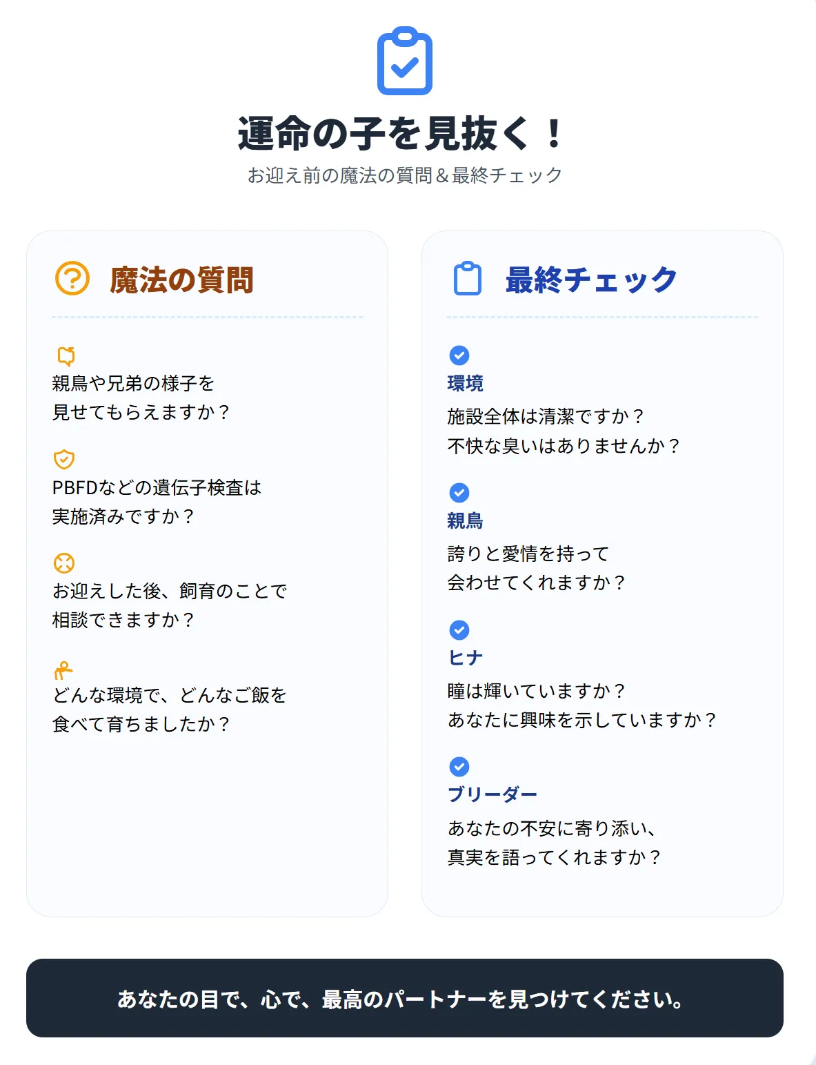 健康なオカメインコのヒナを選ぶ最終チェックリスト。清潔な環境や目に輝きがあるかなどがポイント。