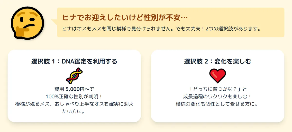 生後間もないオカメインコパールのヒナたち。この時点ではオスもメスも同じ模様で見分けがつかない。